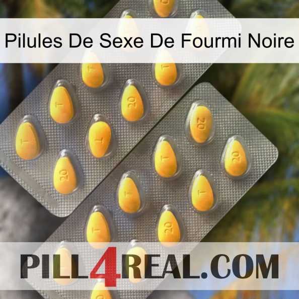 Black Ant Sex Pills cialis2